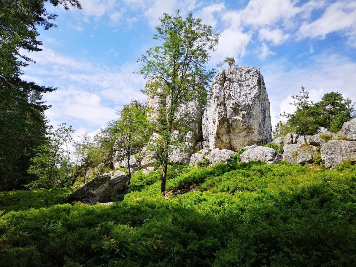 Waldwipfel-Appartement Sankt Englmar Exteriér fotografie